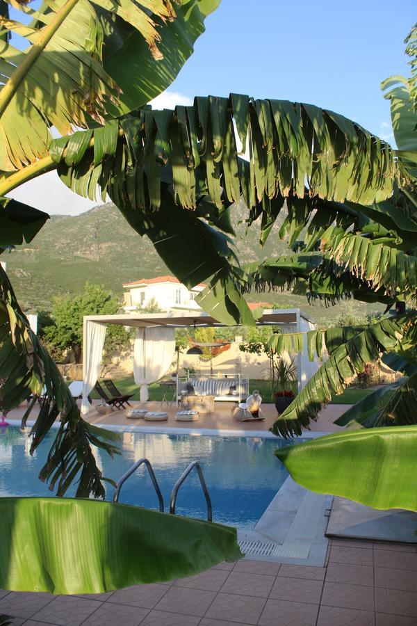Anamnesis. Feel The Mediterranean. Каламата Экстерьер фото